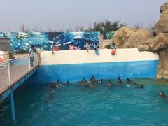 -秦皇岛乐岛海洋王国