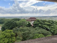 -大湾区中央湿地公园