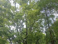 -人民公园-相亲角