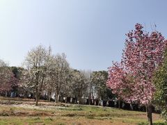 -凤凰沟景区