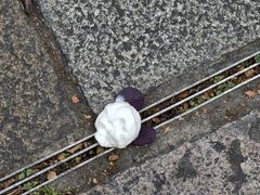 -CORNER CONE GELATO酷矿手作霜淇淋(南头古城店)