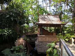 -北京植物园-展览温室