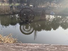 -长田漾湿地公园