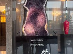 -玄武苏宁诺富特酒店·紫金轩中餐厅