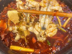 -鸿顺老铁锅美蛙鱼府(解放碑店)