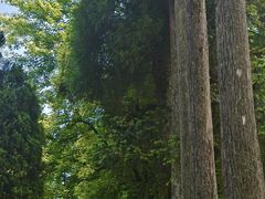 -玉苍山国家森林公园