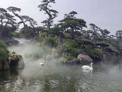 -罗红摄影艺术馆