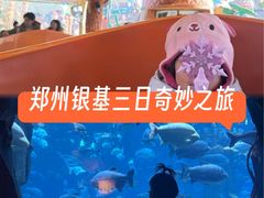 -郑州银基国际旅游度假区