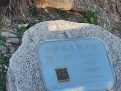 -上海佘山国家森林公园天马山园