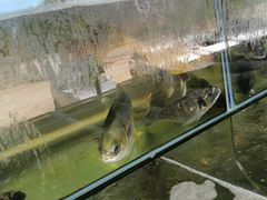 -红月湾海鲜饭店•沙滩海景(双月湾店)