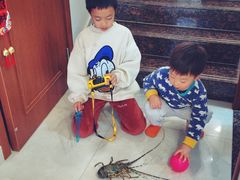 -岳各庄批发市场(西四环中路店)