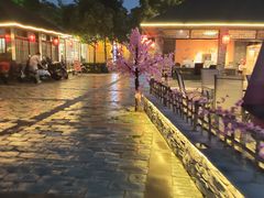 -醉月城西昌火盆烧烤(天府店)