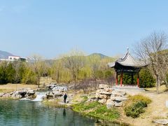 -晋祠公园