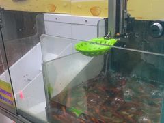 -风云再起游乐汇(南京常发广场店)