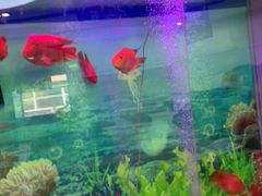-雅悦齿科(顾村公园店)