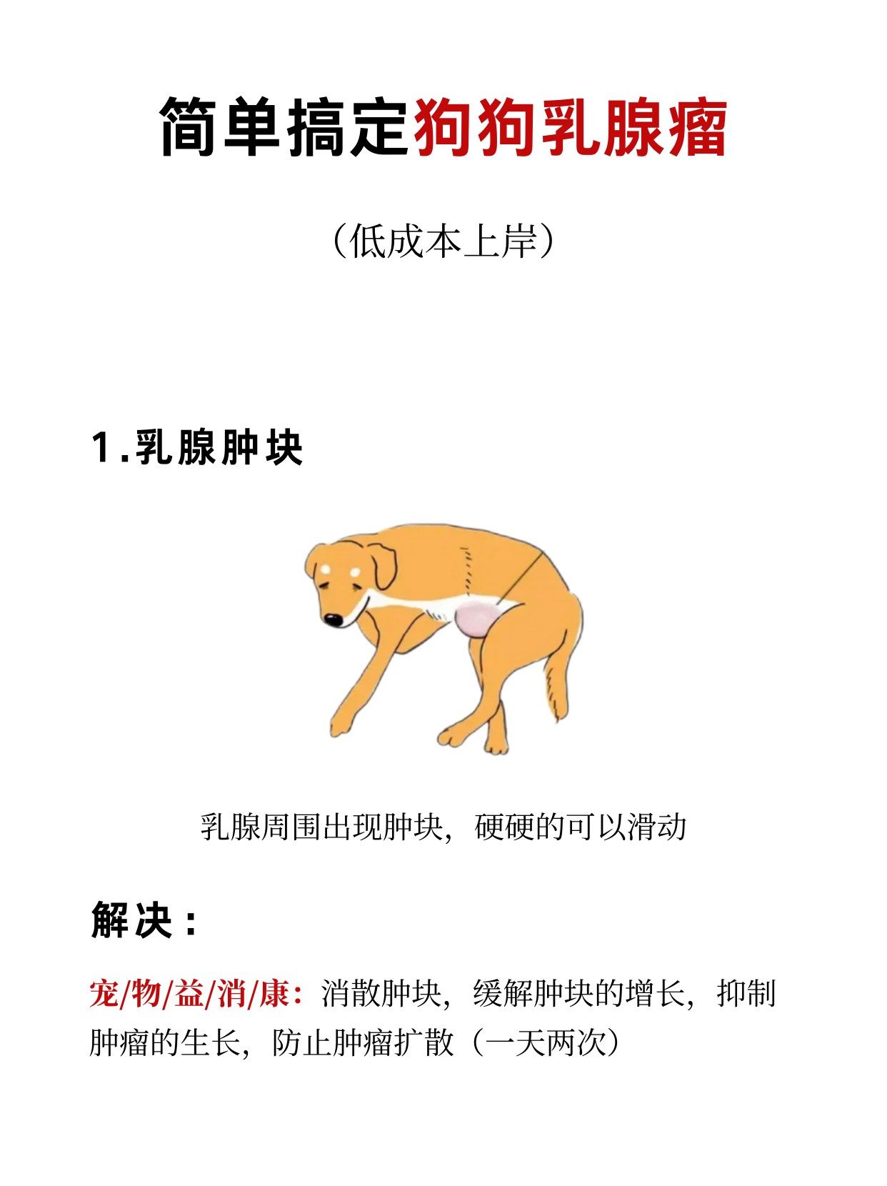 狗狗乳腺瘤自用经验分享!