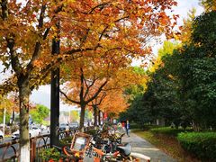 -杭州电子科技大学(下沙校区)