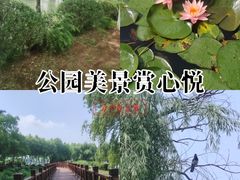 -金银湖国家城市湿地公园