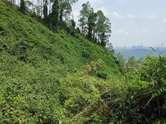 -水濂山森林公园