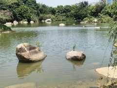 -厦门悦华酒店