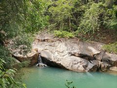 -广州白江湖森林公园