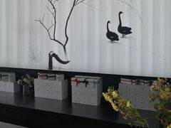 -BLACKSWAN黑天鹅(环球店)