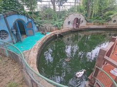 -南宫五洲植物乐园