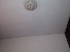 -林记开心动物奶油生日蛋糕(江南春晓店)