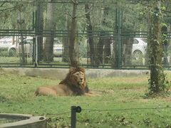 -秦皇岛野生动物园