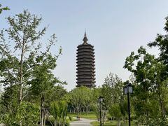 -西海子公园