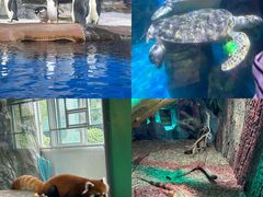 -海合安武汉极地海洋公园