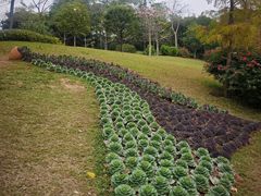 -云溪植物园
