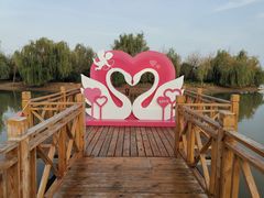 -泗洪洪泽湖湿地景区