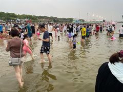 -碧海金沙