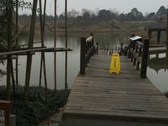 -白鹭湾湿地公园