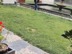 -思金拉措庄园藏餐(太阳岛店)