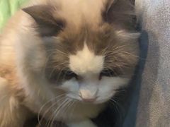 -悠米私人影院(街道口店)