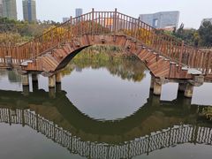 -五缘湾湿地公园