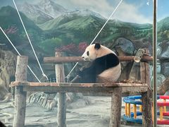 -武汉动物园