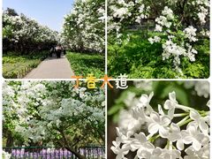 -天坛公园