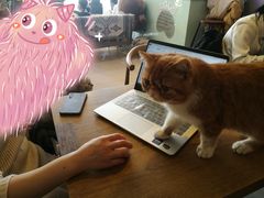 -平行世界·猫咖(首经贸店)