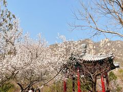 -北京凤凰岭