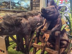 -怀化名堂(正清路店)