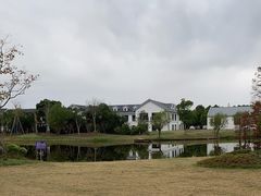 -上海长兴岛郊野公园