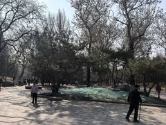 -宣武艺园