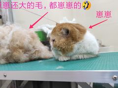 -佳雯宠物医院(四明中路分院)