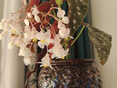 -包头市畅兴现代农业园