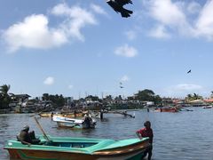 -尼甘布海鲜市场