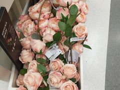 -宜家家居(西安未央商场店)