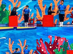 -北戴河圣蓝海洋公园